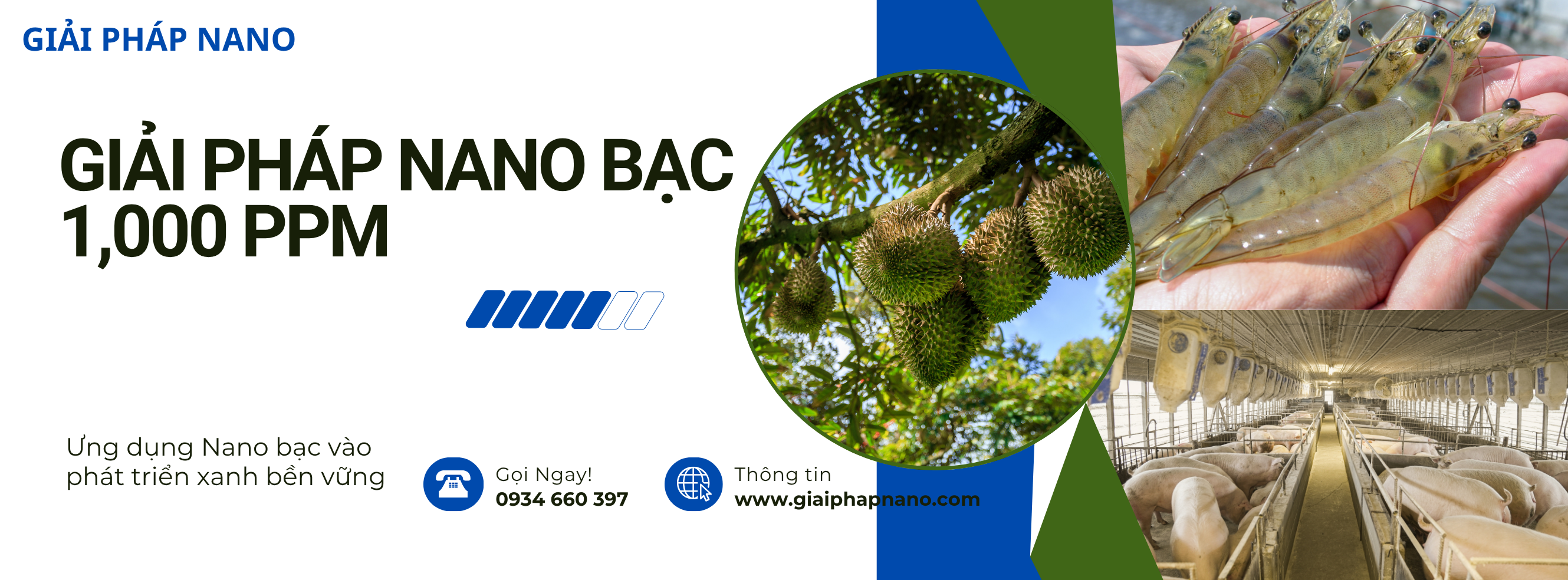 Giải pháp nano bạc chung