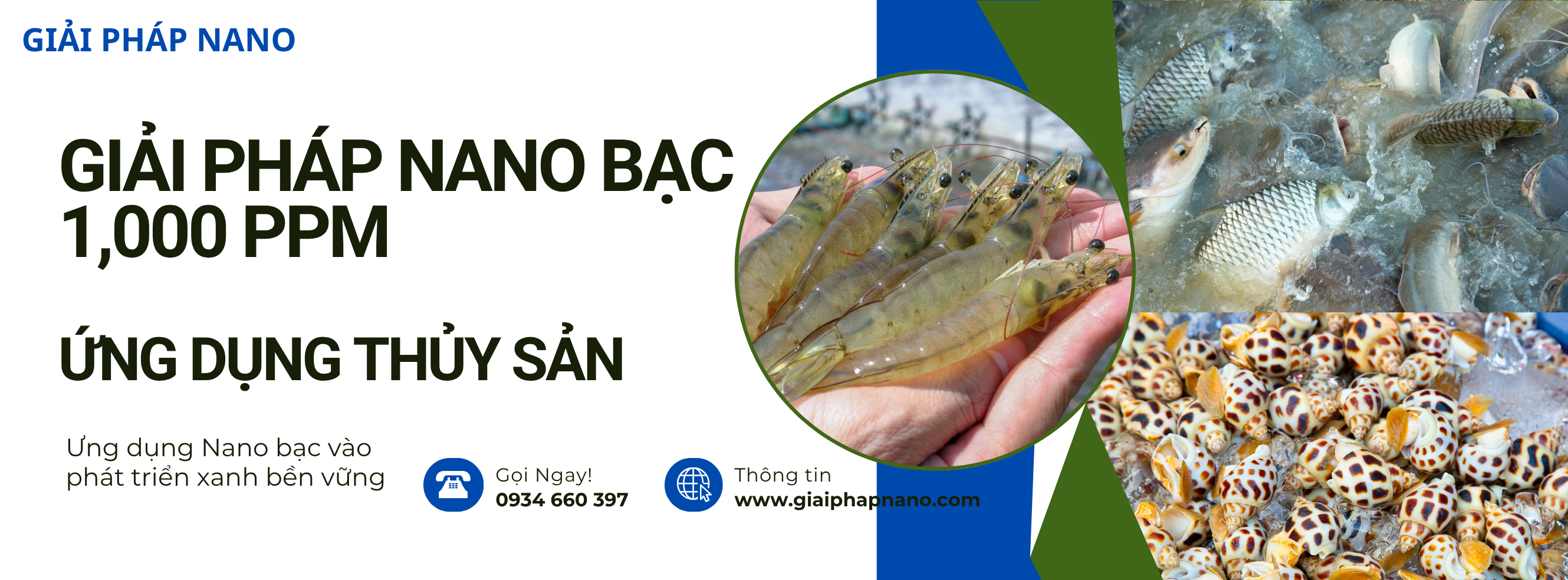 Giải pháp nano bạc thuy san