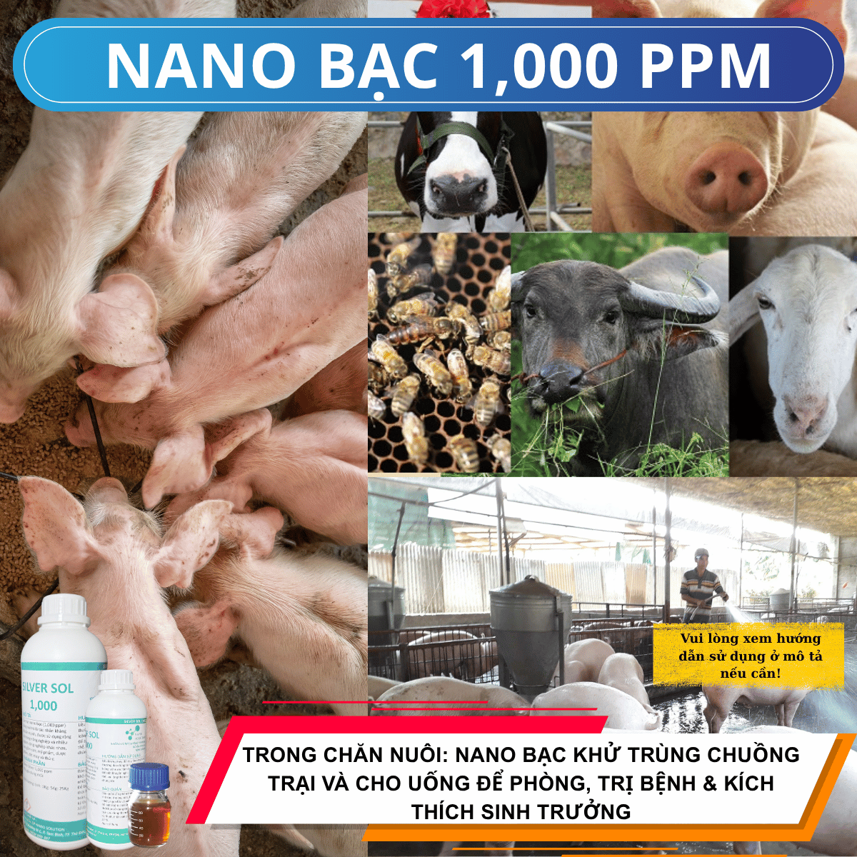 Nano Bạc 1000 ppm cho chăn nuôi, khử trùng chuồng trại, phòng ngừa điều trị bệnh