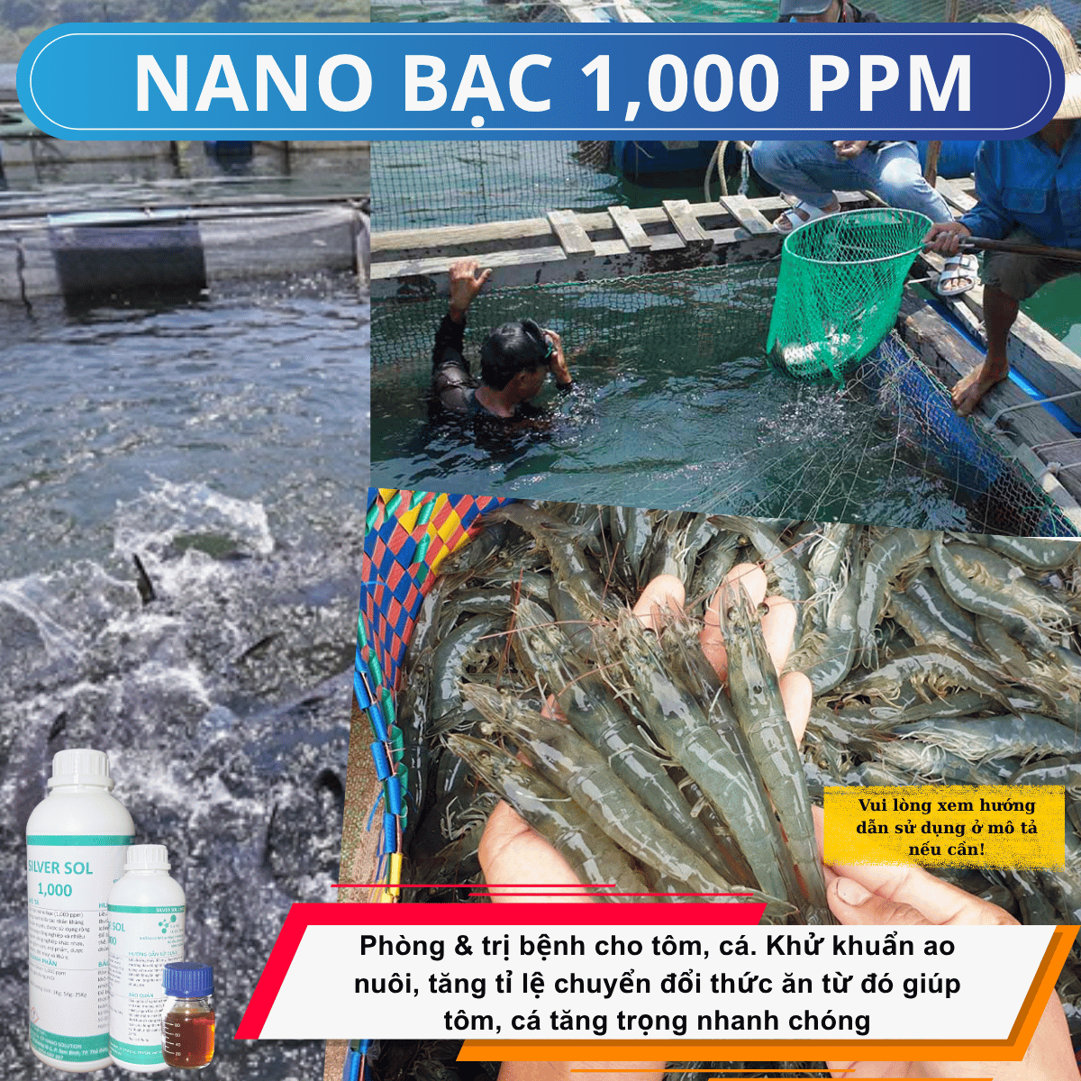 Nano bạc 1000ppm cho người nuôi thủy sản, cá, tôm, ốc