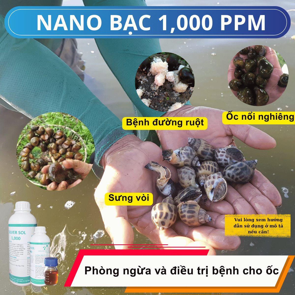 Nano Bạc 1000 ppm phòng trị bệnh Ốc Bươu Đen