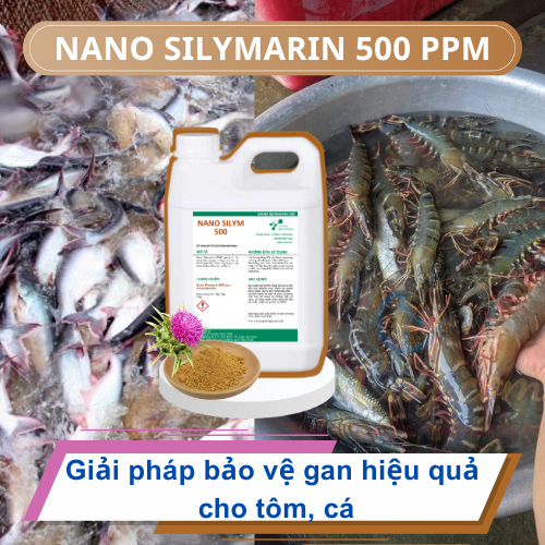 Nano Silymarin – Giải pháp bảo vệ gan hiệu quả cho tôm, cá