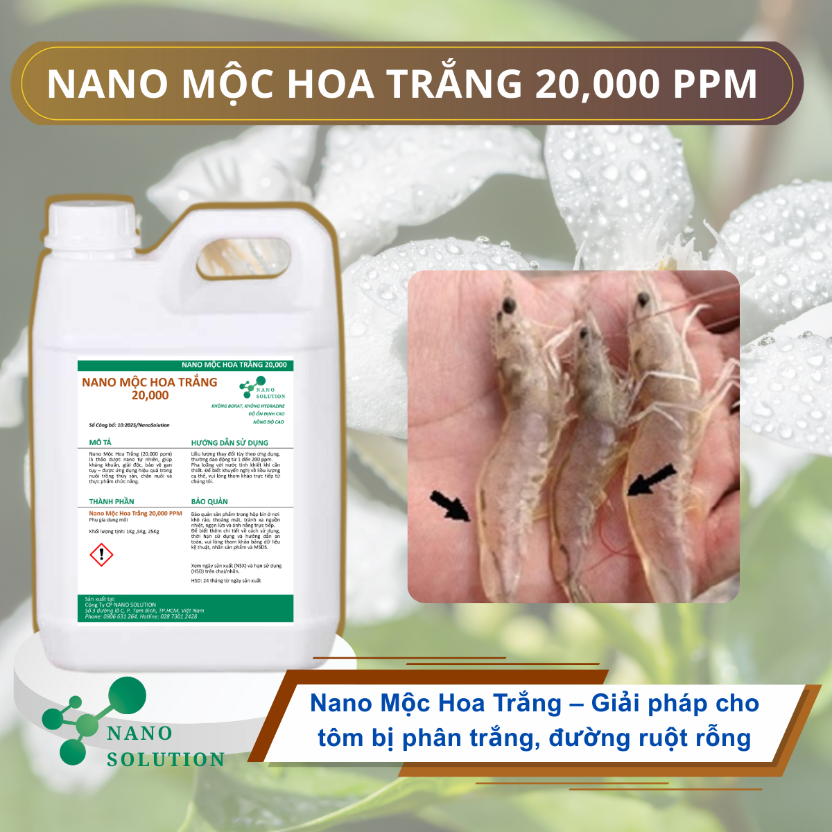 🌿 Nano Mộc Hoa Trắng 20.000PPM – Giải pháp cho tôm bị phân trắng, đường ruột rỗng