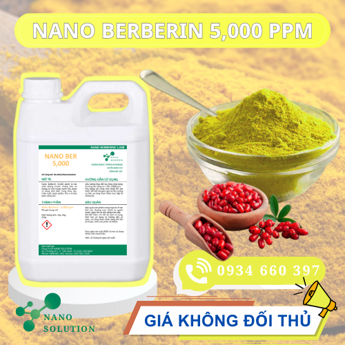 Nano Berberin Nguyên Liệu 5000ppm – Giải Pháp Tự Nhiên Bảo Vệ Sức Khỏe Tôm
