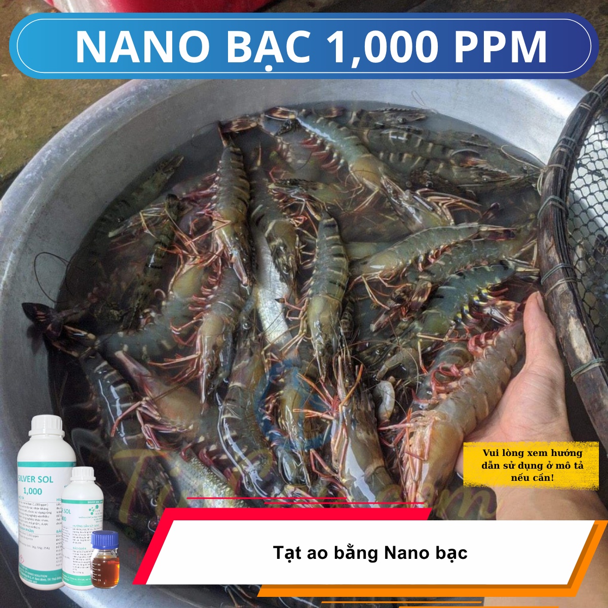 🦐 Phòng Và Điều Trị Bệnh Phổ Biến Ở Tôm – Giải Pháp An Toàn Từ Nano Bạc 1000ppm