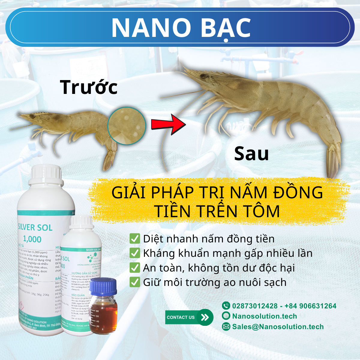 Nano Bạc 1000ppm – Giải Pháp Hiệu Quả Trị Nấm Đồng Tiền Trên Tôm