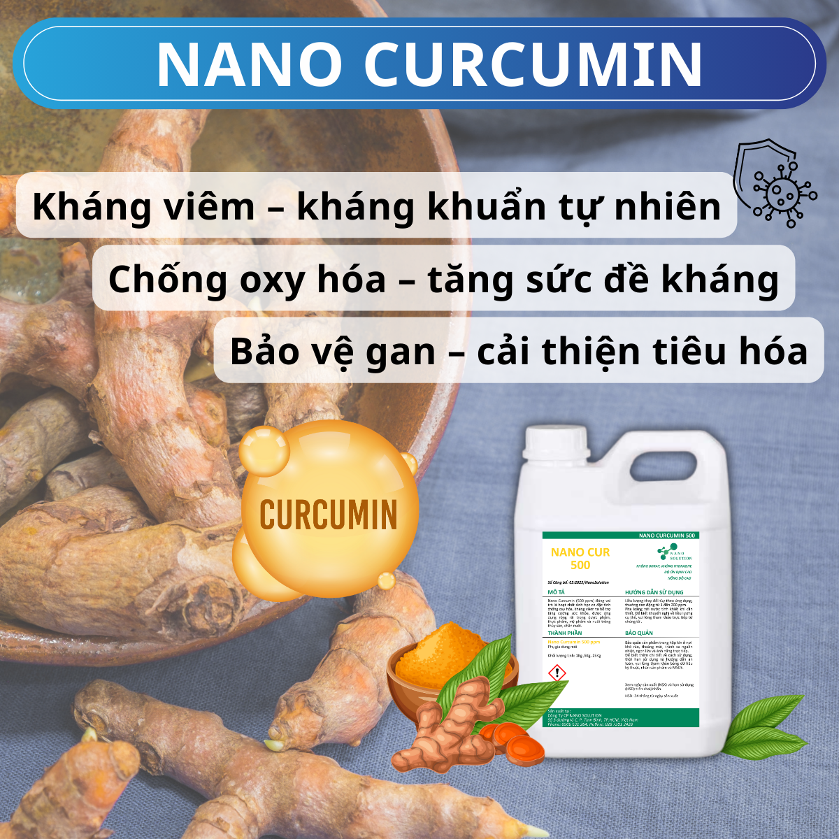 Nano Curcumin – Giải Pháp Vượt Trội Trong Thủy Sản & Chăn Nuôi