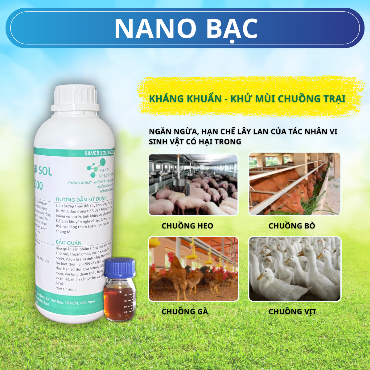 Nano Bạc – Giải Pháp Kháng Khuẩn & Khử Mùi Chuồng Trại Hiệu Quả, An Toàn