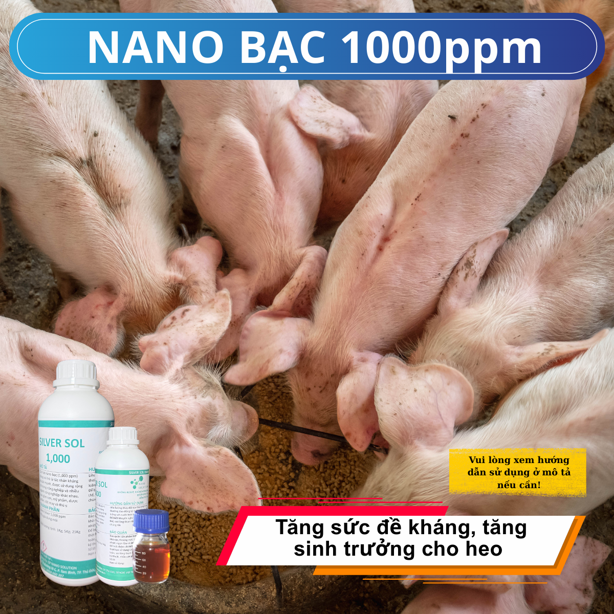 Nano Bạc 1000ppm – Giải Pháp Tăng Sức Đề Kháng Cho Heo Trong Chăn Nuôi Hiện Đại