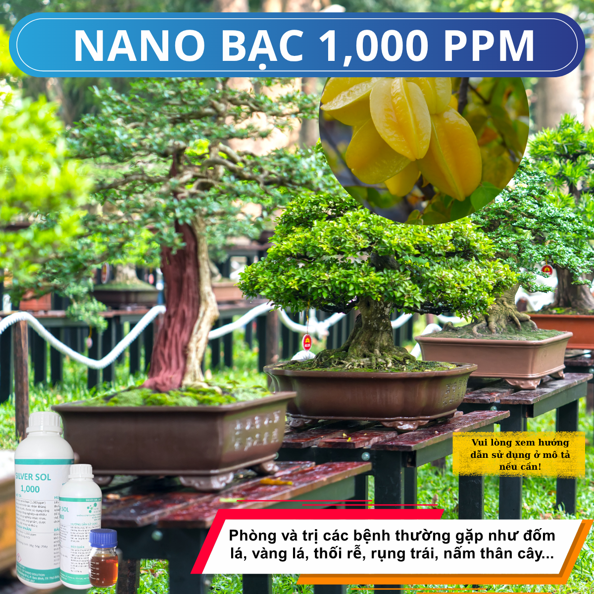 Nano Bạc sử dụng cho Cây Cảnh