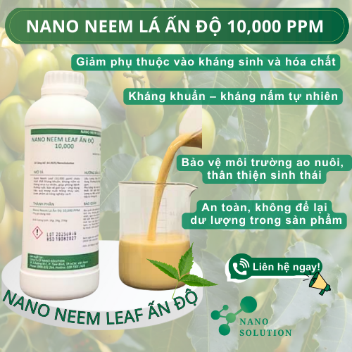 Nano Neem – Giải Pháp Từ Thảo Dược Cho Nuôi Trồng Thủy Sản An Toàn