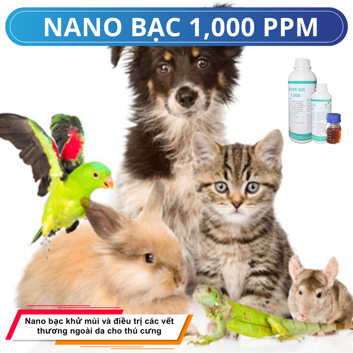 Nano Bạc 1000ppm – Giải Pháp Kháng Khuẩn Tự Nhiên Đa Dụng Từ Nano Bạc Nguyên Liệu