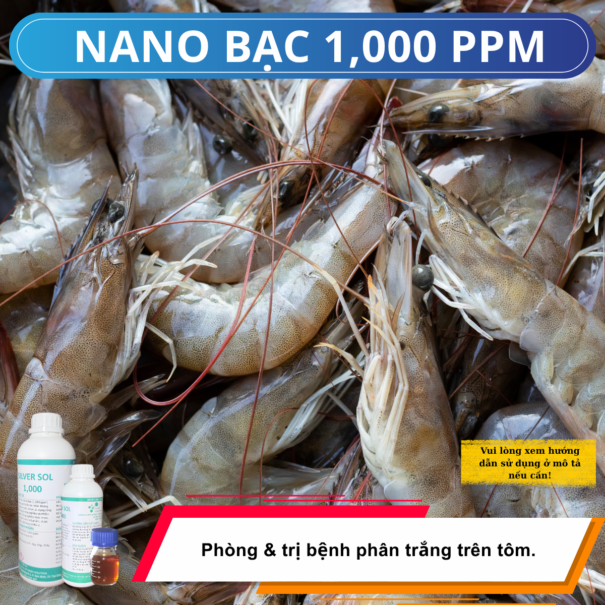 Nano bạc điều trị bệnh phân trắng trên tôm, giải pháp hiệu quả và an toàn