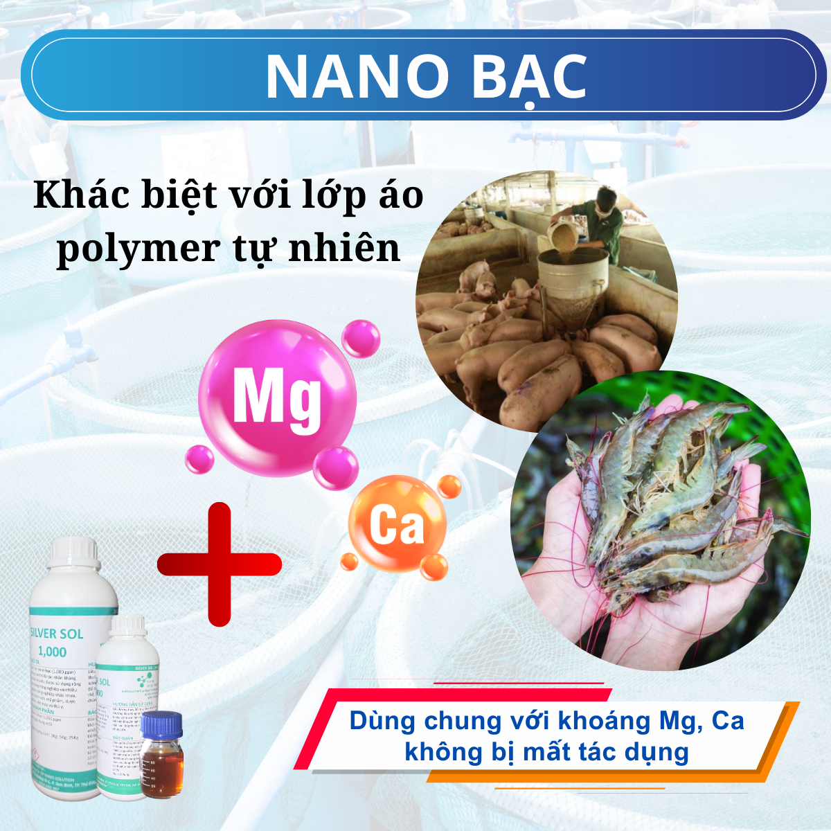 Nano Bạc 1000ppm Nguyên Liệu – Giải Pháp Khác Biệt Với Lớp Áo Polyme Tự Nhiên