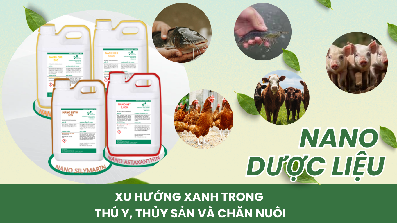 Nano Dược Liệu – Xu hướng xanh trong thú y, thủy sản và chăn nuôi